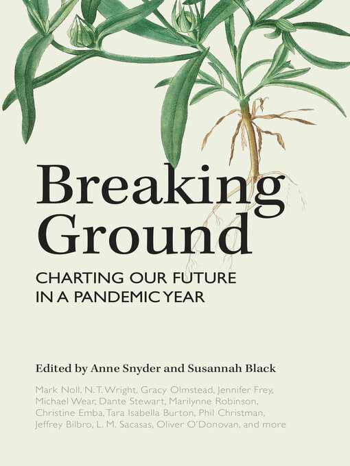 Title details for Breaking Ground by Mark Noll - Available